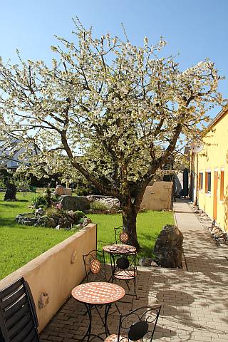 Blick in unsere Appartments